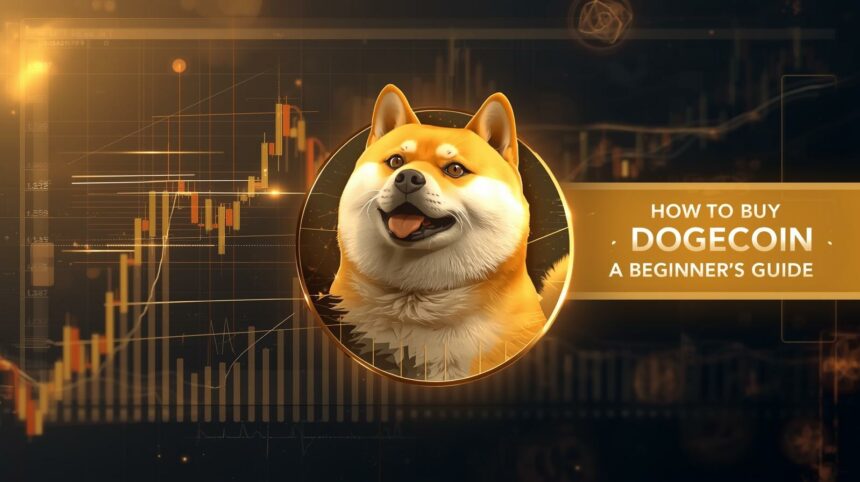 Dogecoin Investment Guide for Beginners